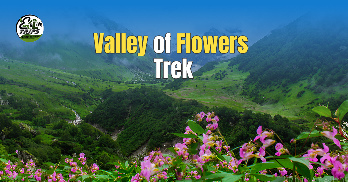 Valley of Flowers Trek